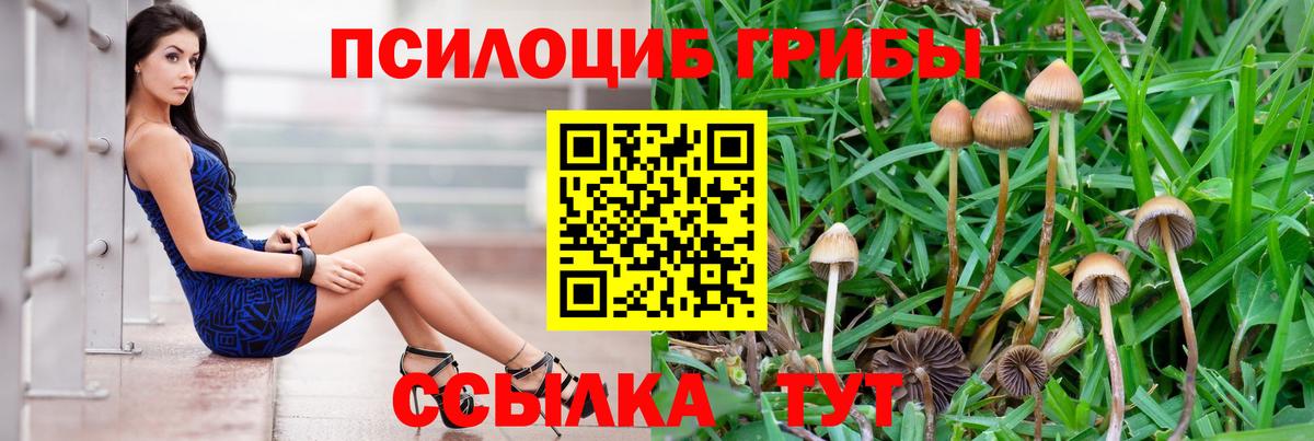 Можайск  Псилоцибиновые грибы мухоморы  Вход с VPN 