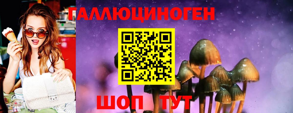 Псилоцибиновые грибы Psilocybine cubensis Можайск